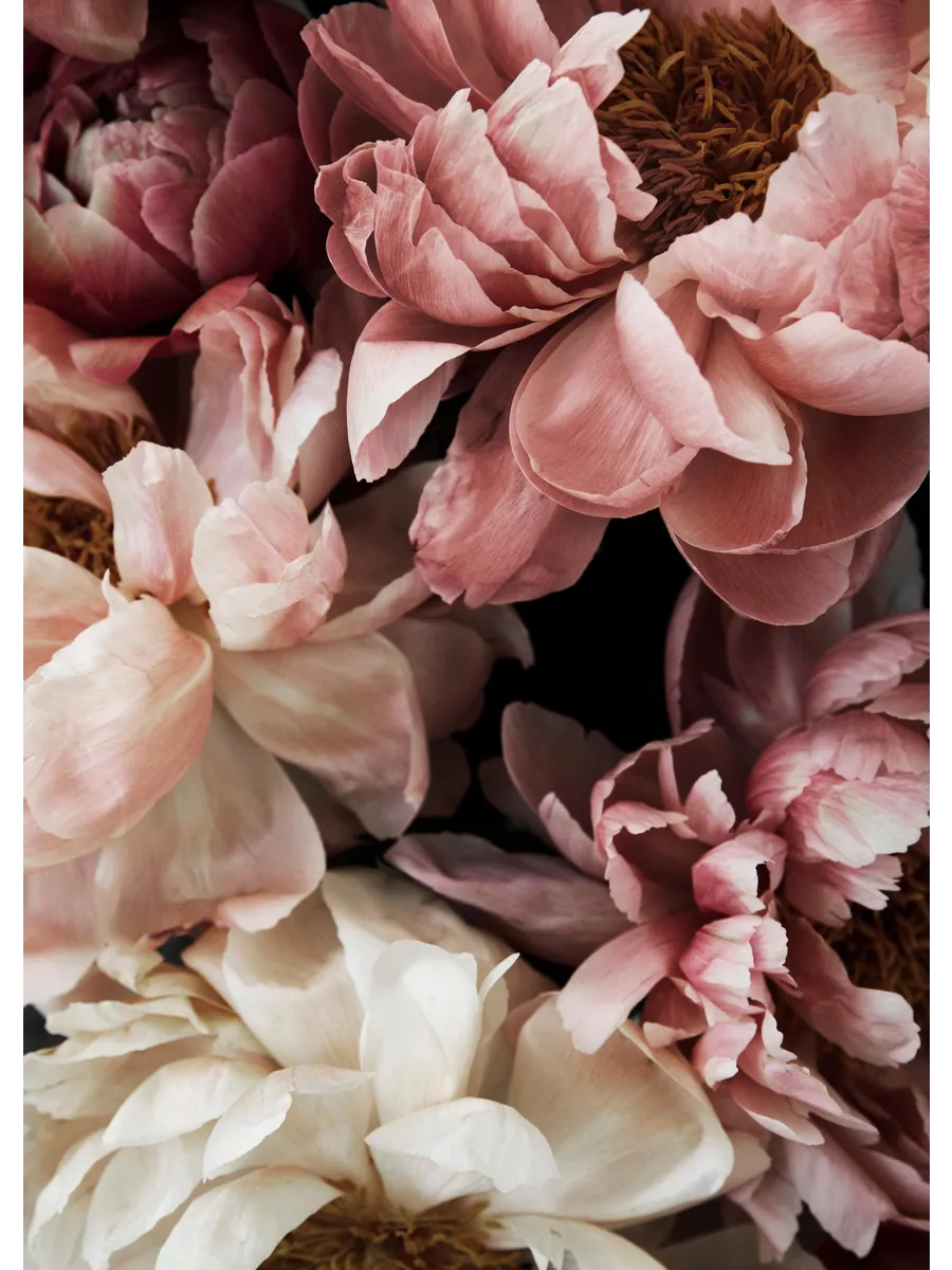 Flower Wall