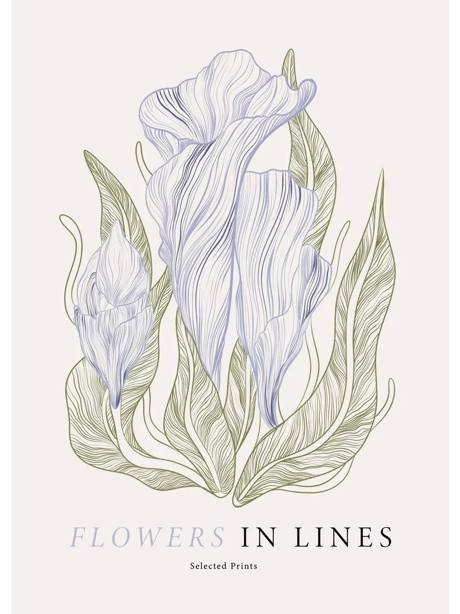 Flowers in Lines No1