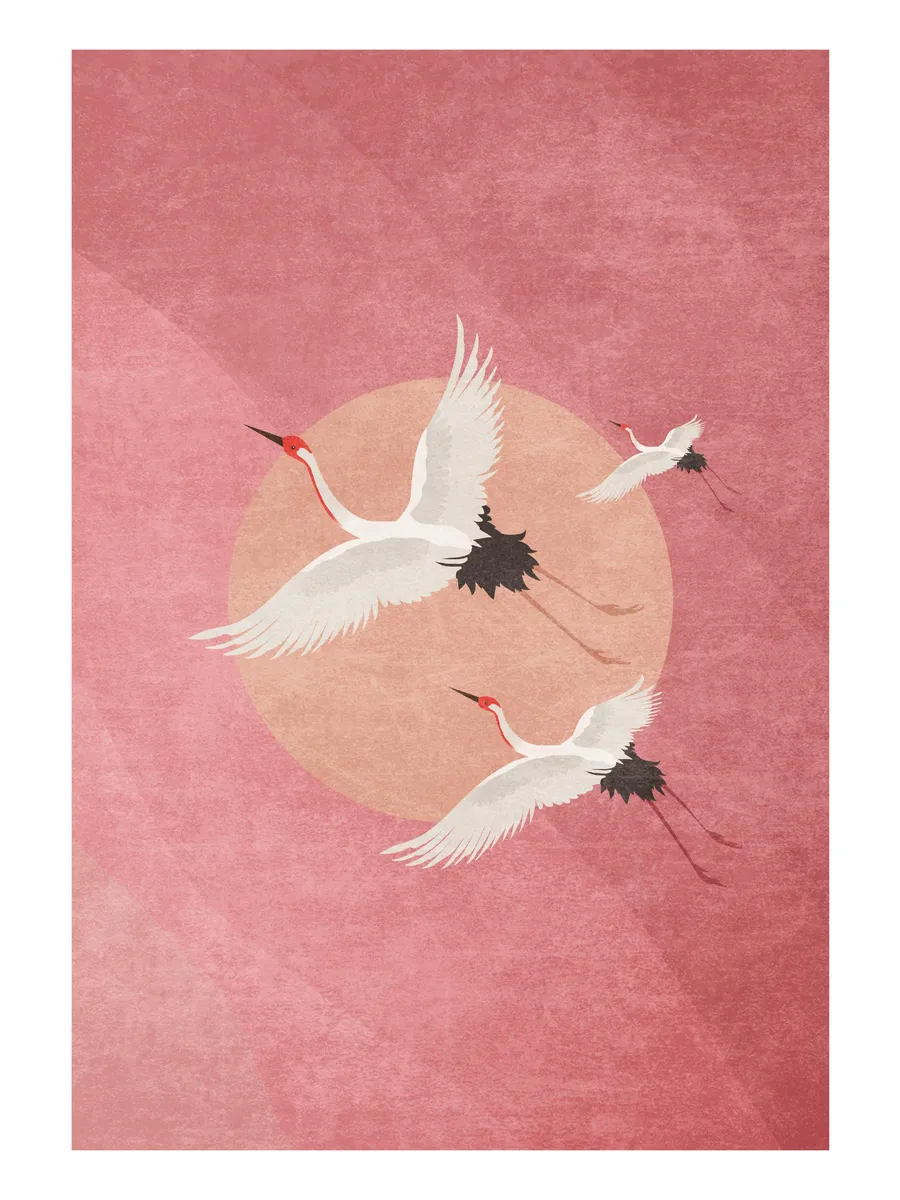 Flying Cranes