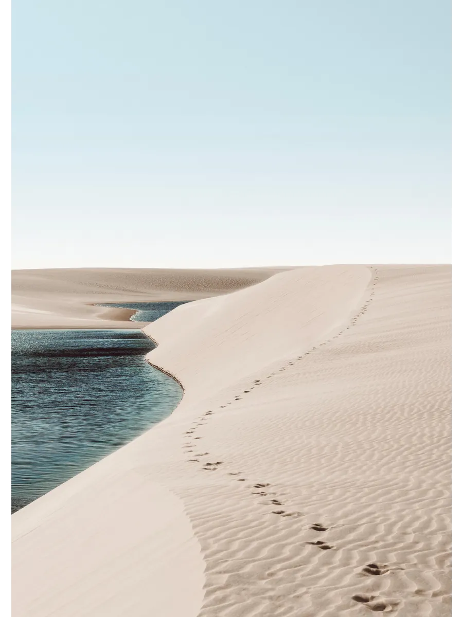 Footsteps on Dunes