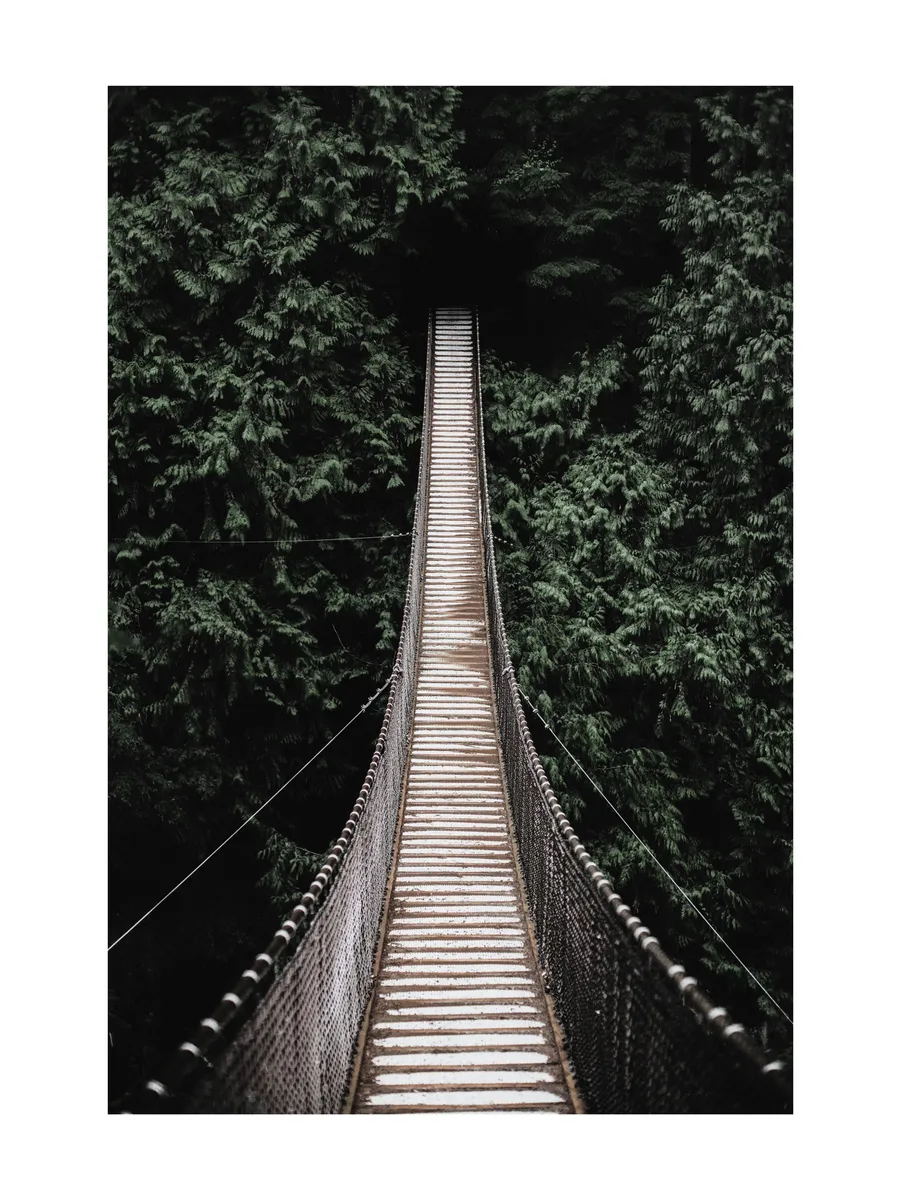 Forest Bridge