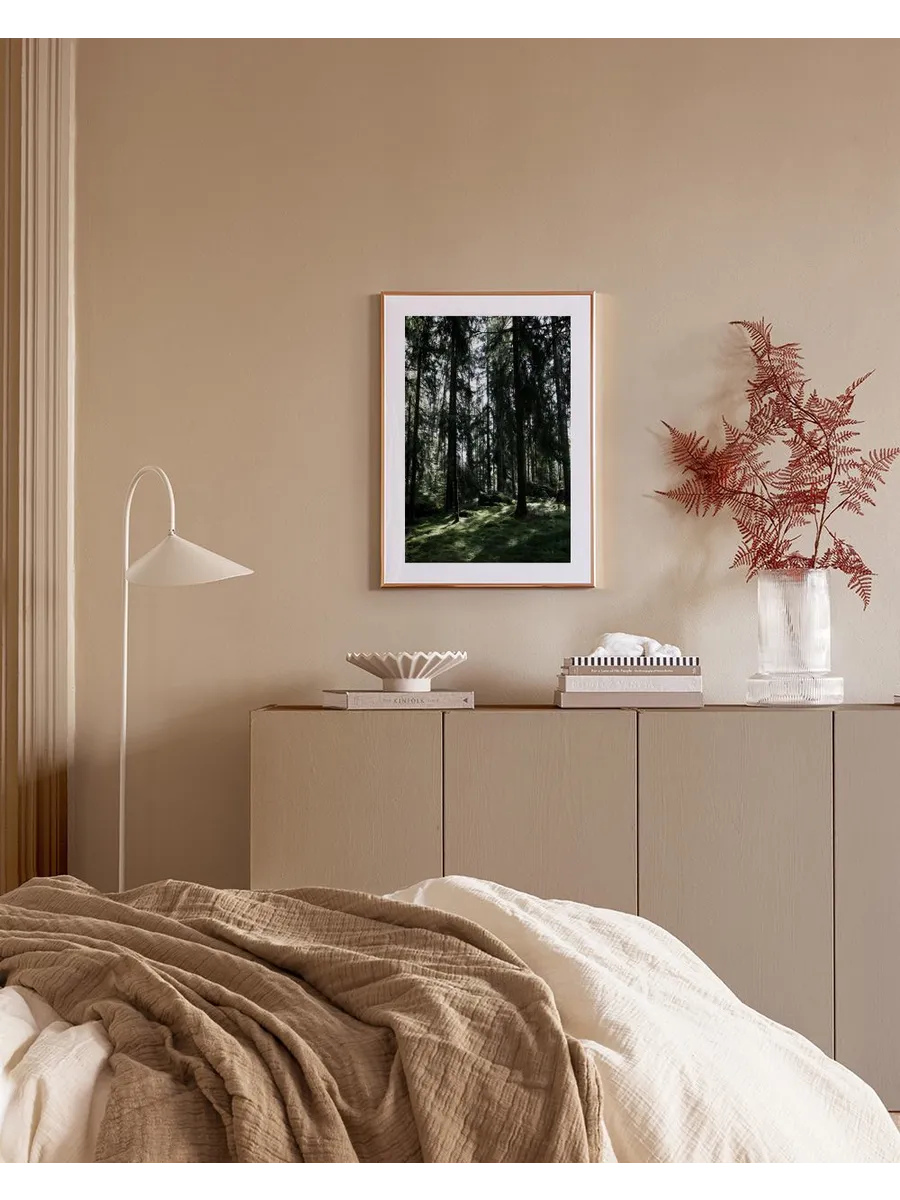 Forest Trees