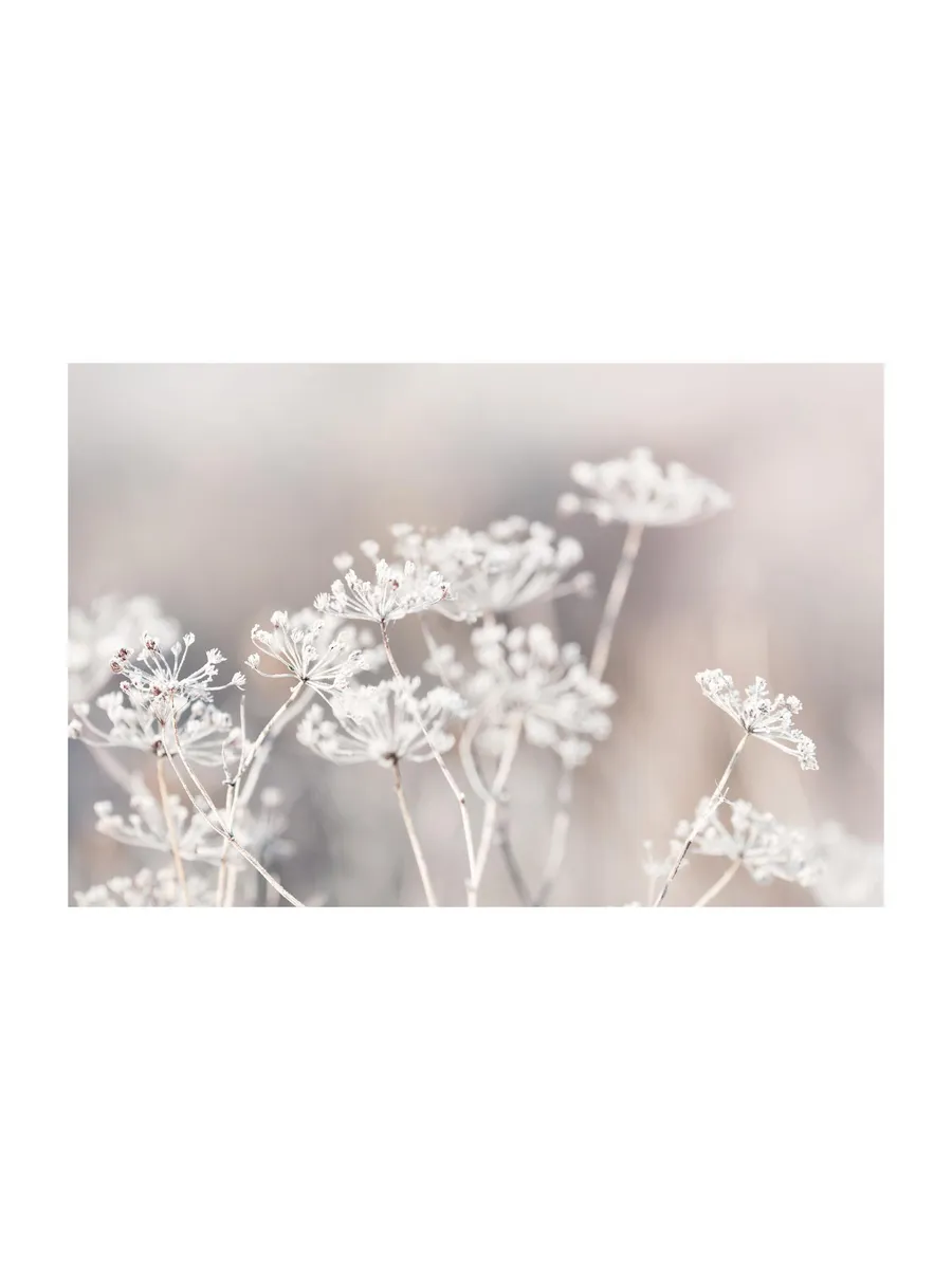 Frozen Botanical