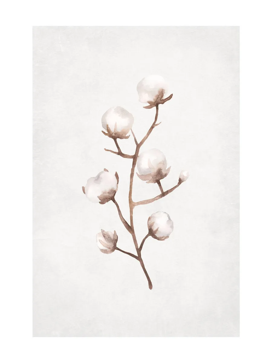Frozen Cotton Branch