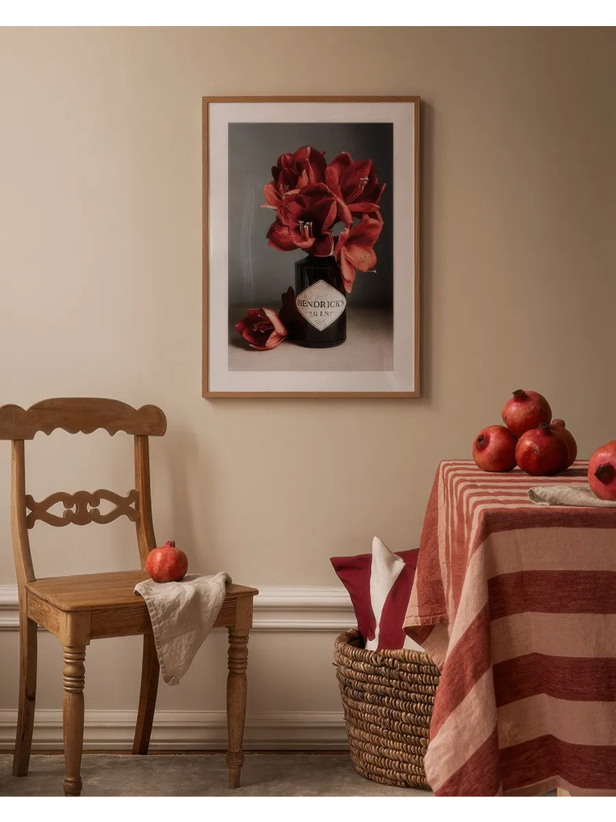 Gin and Red Amaryllis