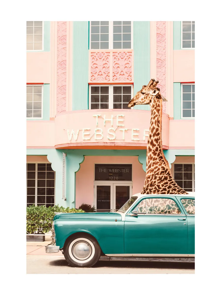 Giraffe Parking