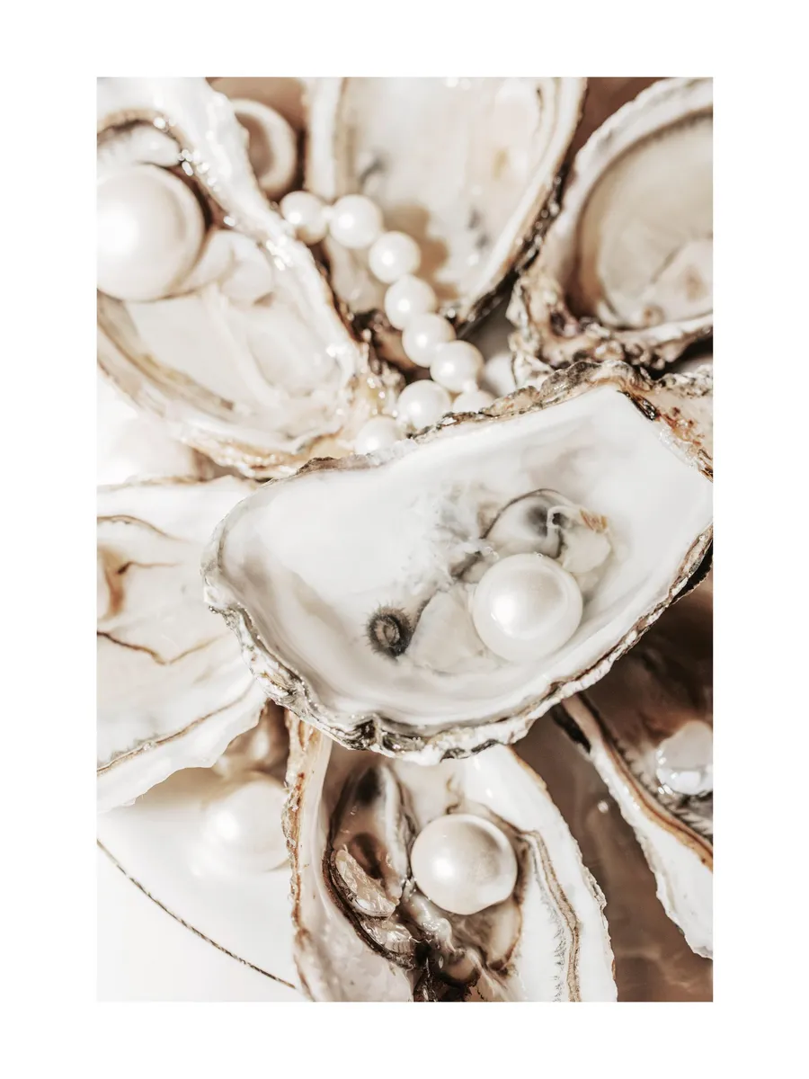 Glamorous Oysters