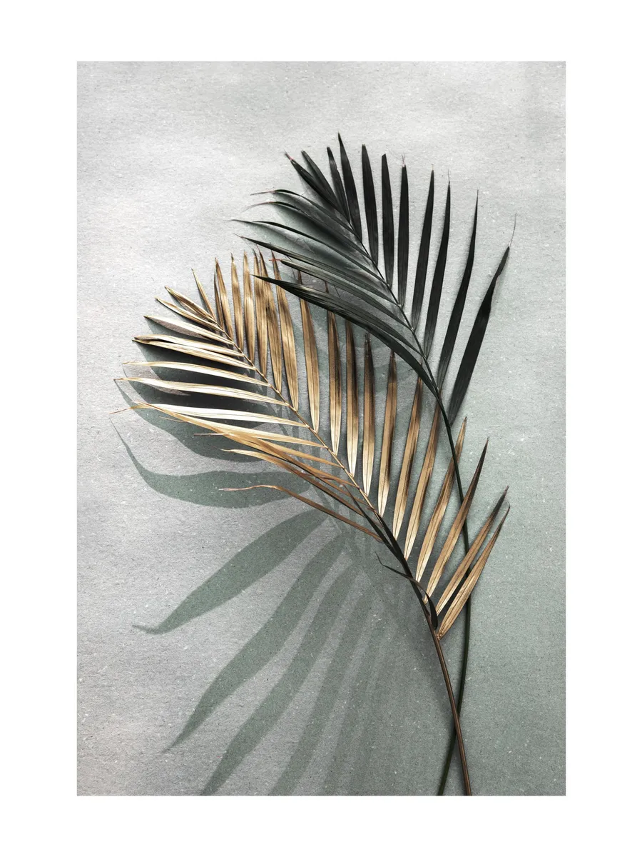 Gold and Green Shadow