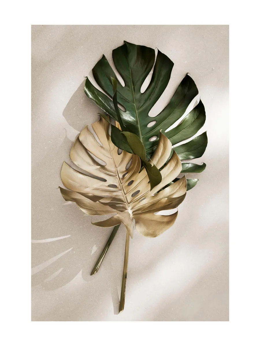 Gold Monstera No1