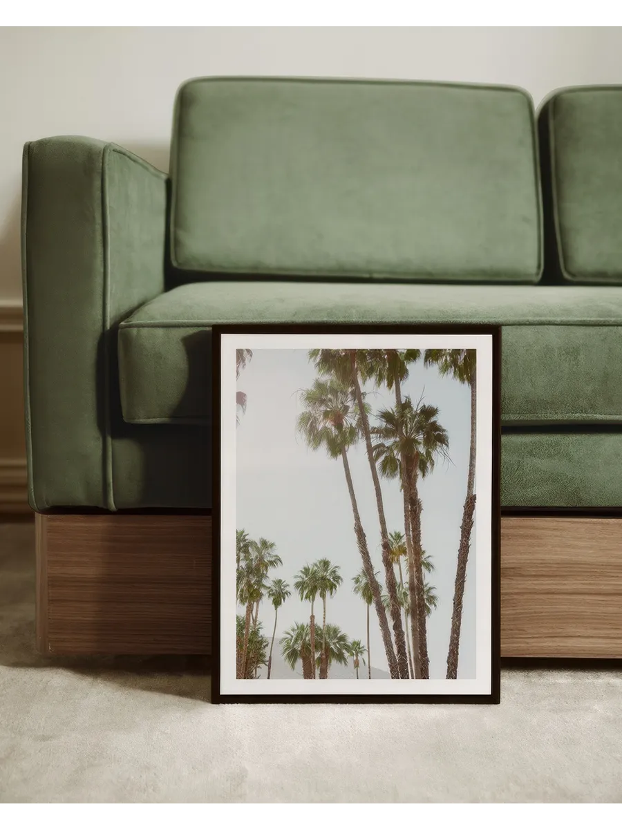 Golden Hour Palms