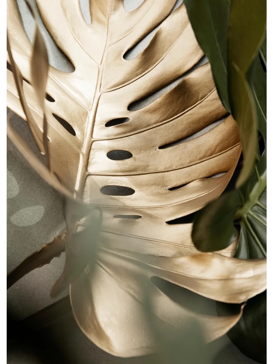 Golden Monstera Leaves