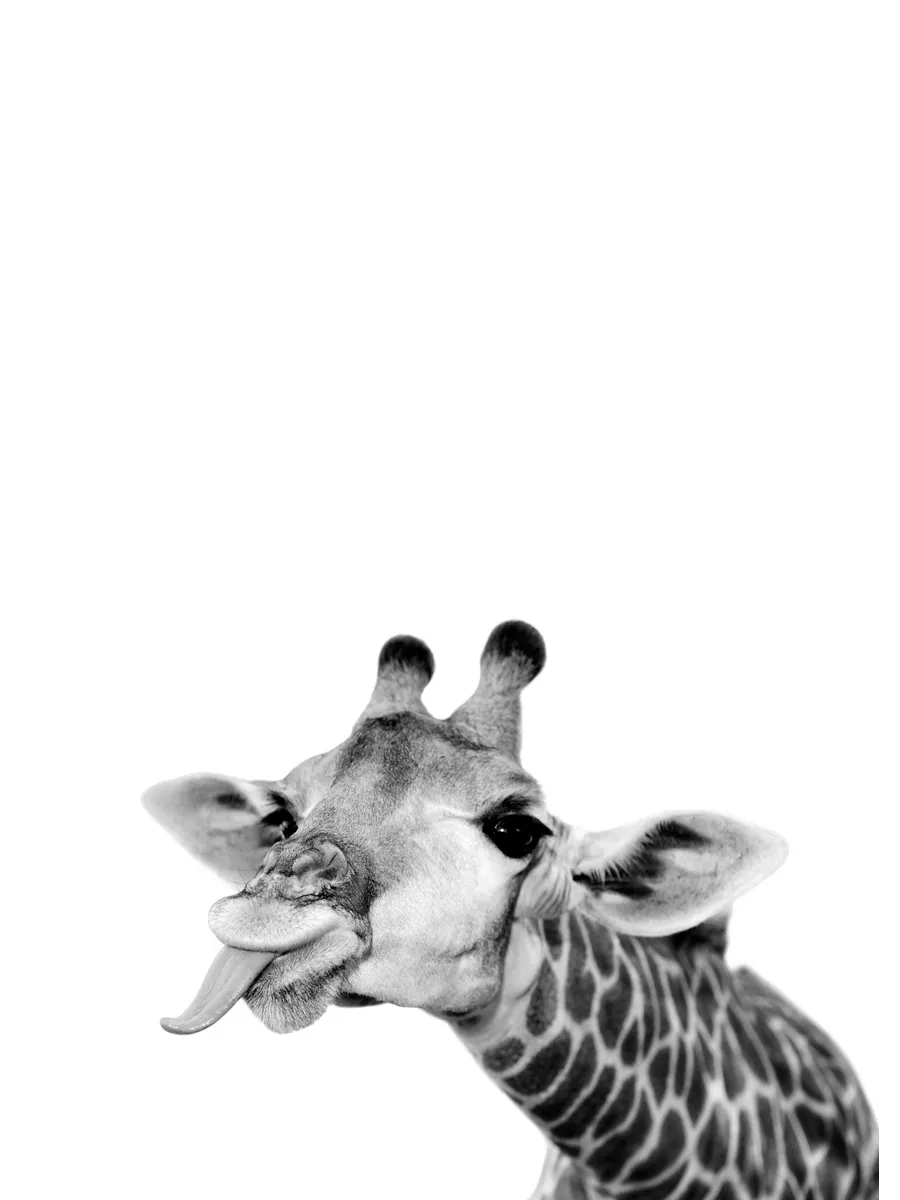 Goofy Giraffe