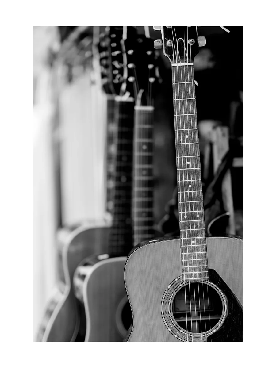 Guitar