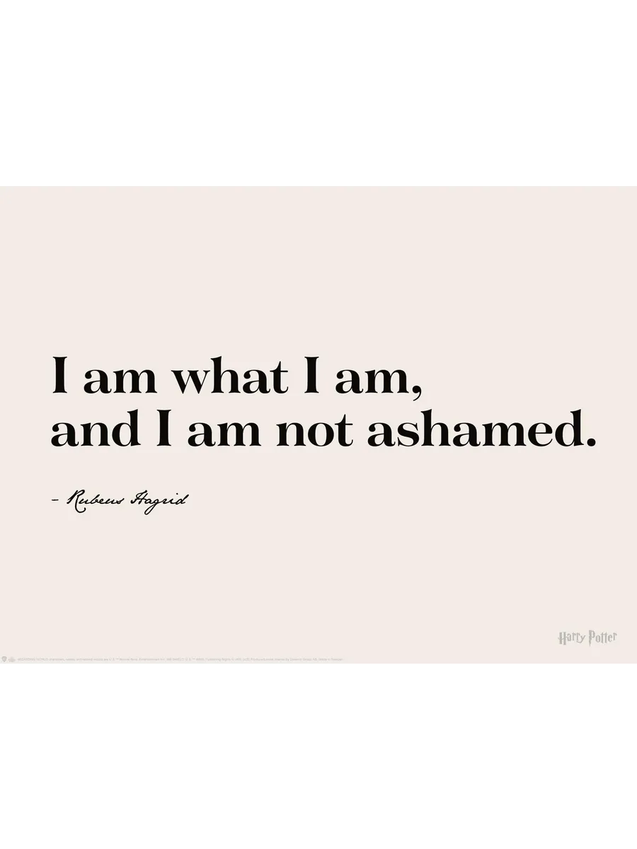 Harry Potter I Am What I Am