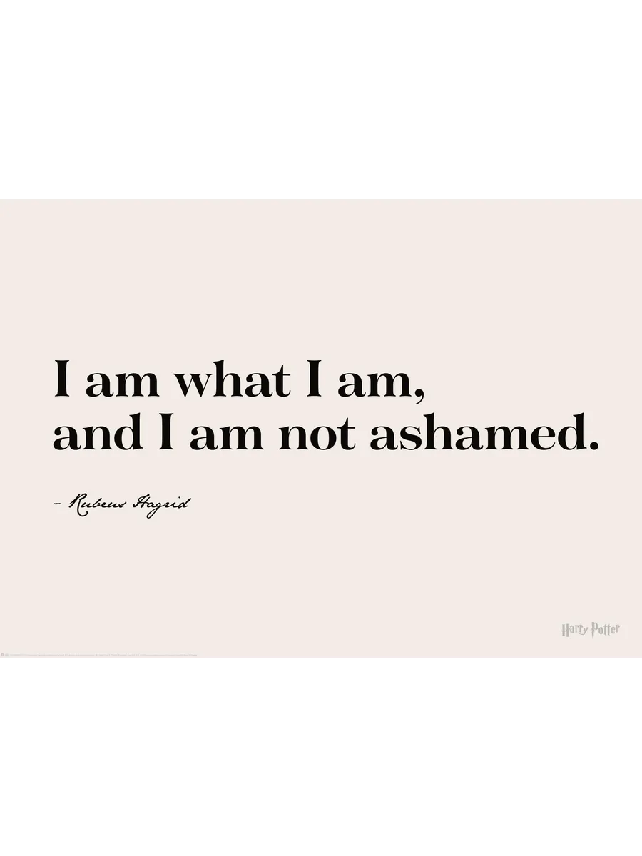 Harry Potter I Am What I Am