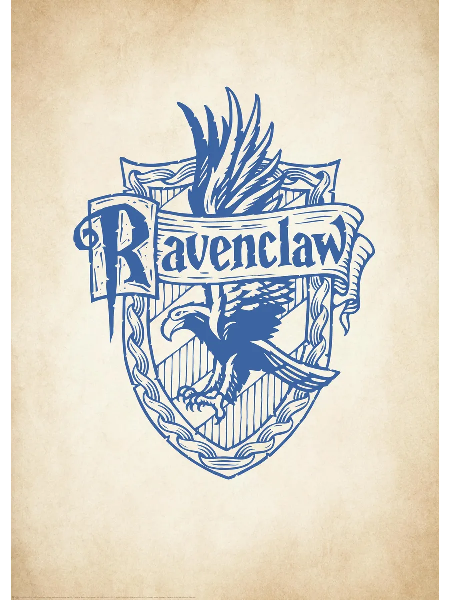 Harry Potter Ravenclaw