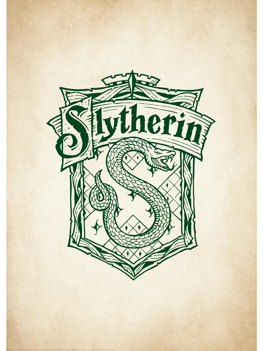 Harry Potter Slytherin