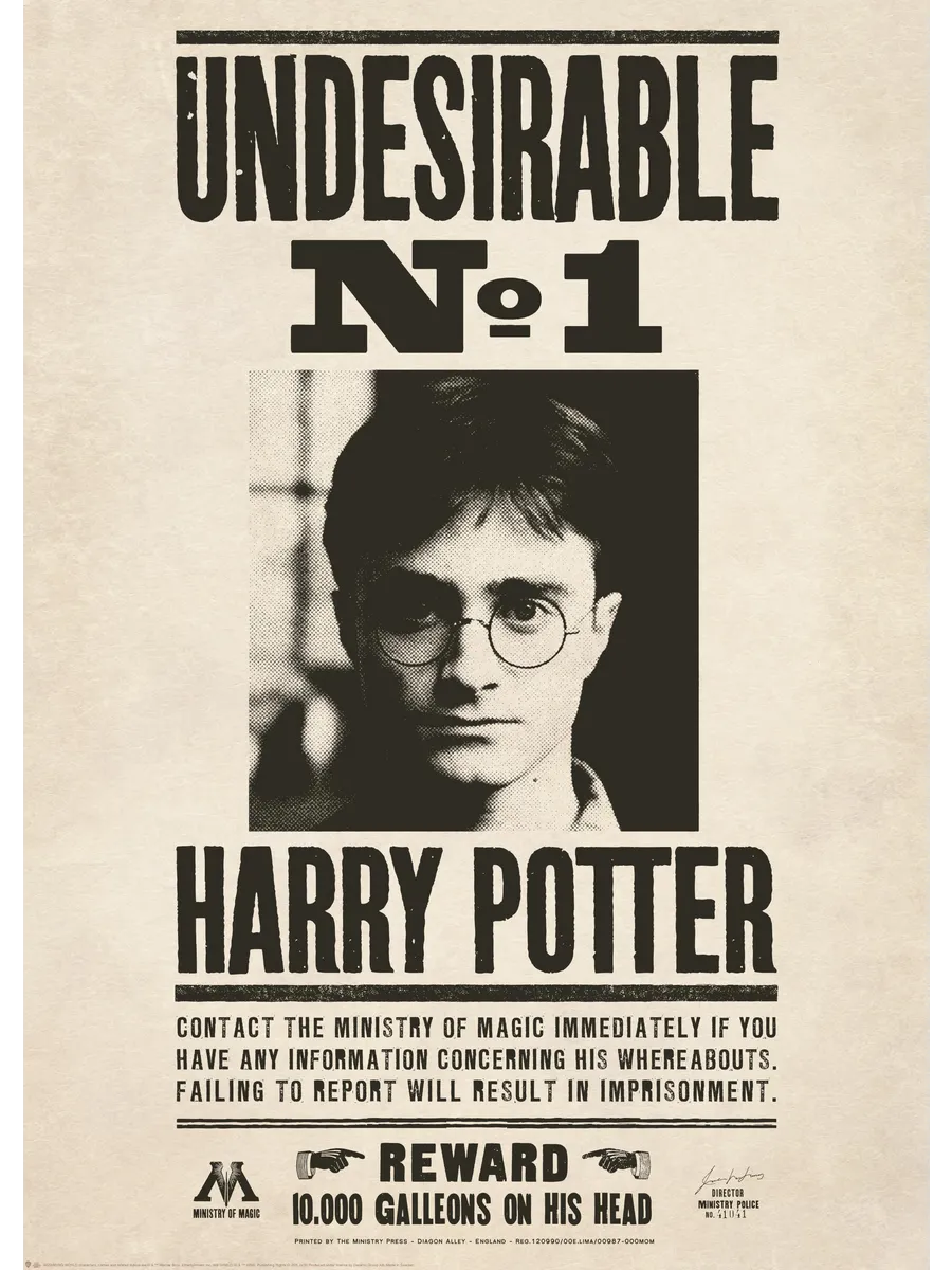 Harry Potter Undesirable