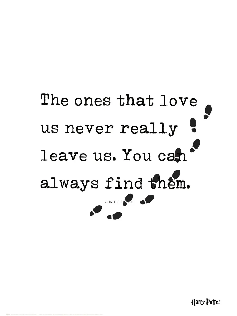 Harry Potter You Can Always Find Them