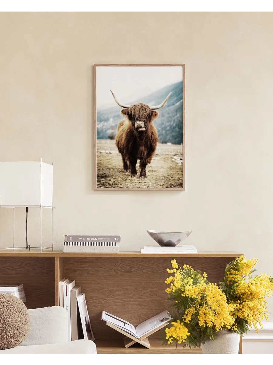 Highland Cattle on Field