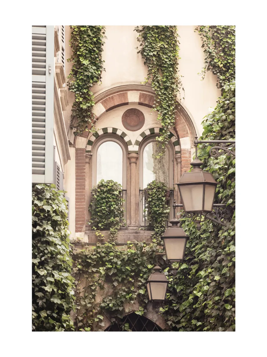 Ivy Architecture
