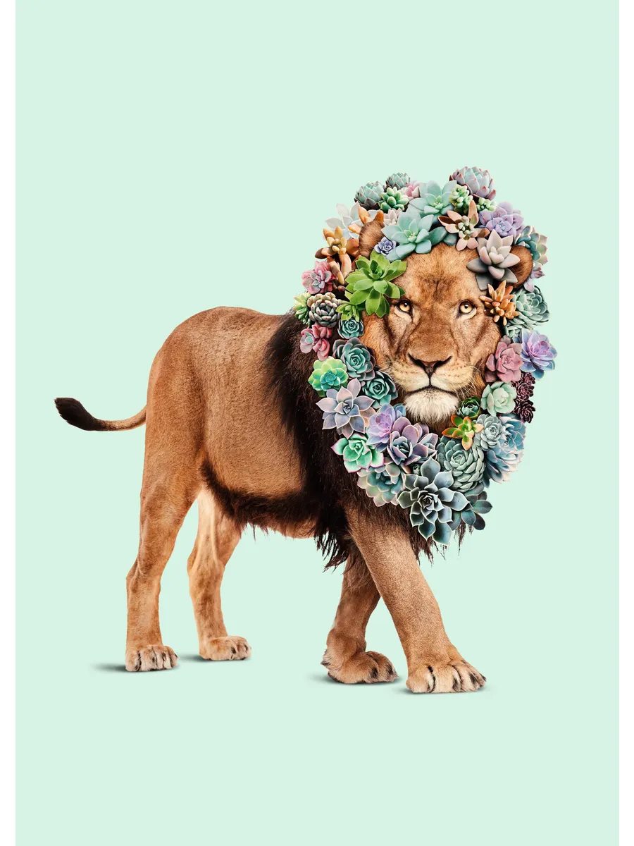 Jonas Loose Succulent Lion