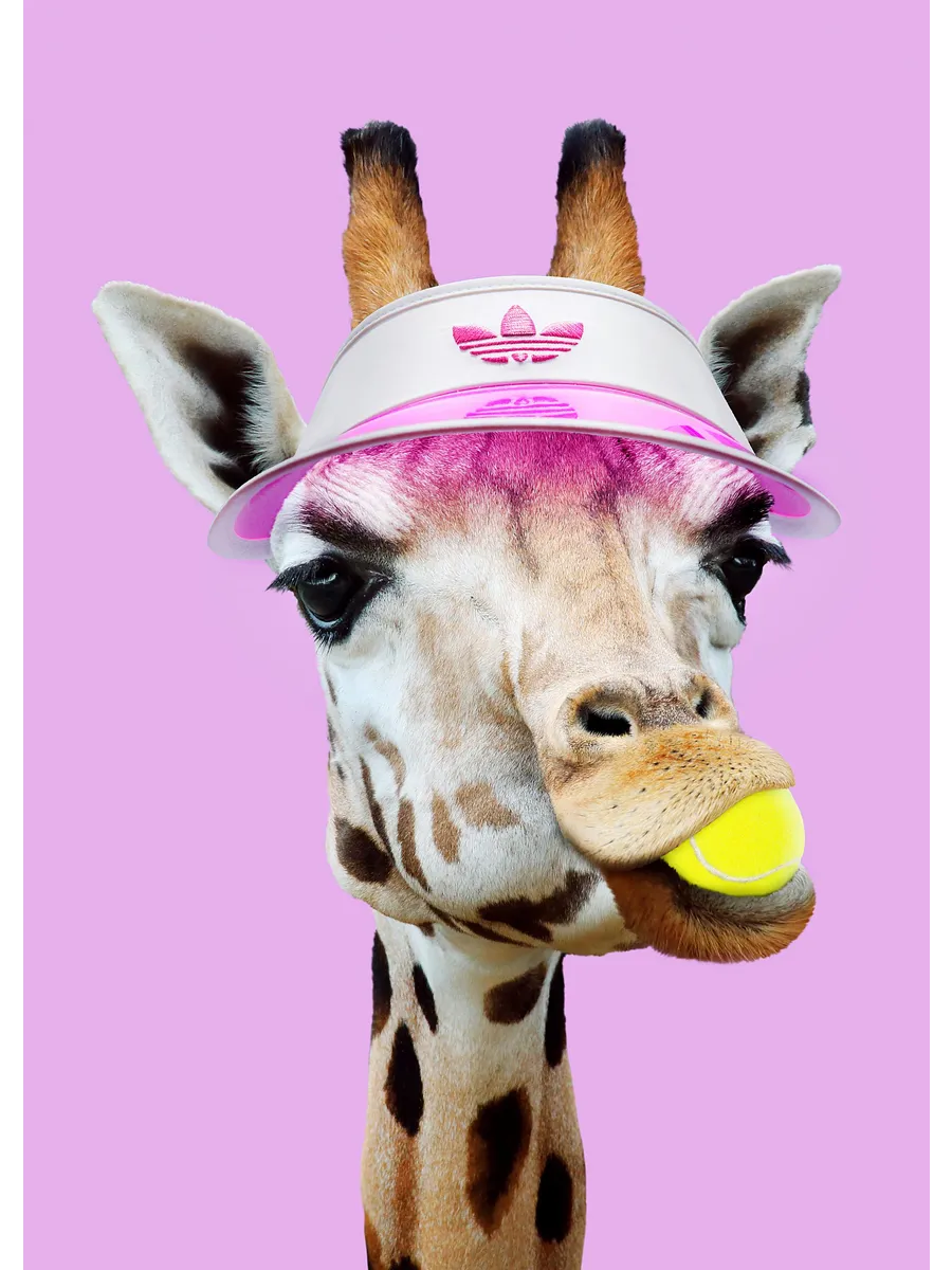 Jonas Loose Tennis Giraffe