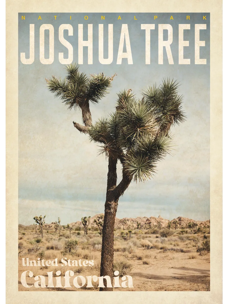 Joshua Tree
