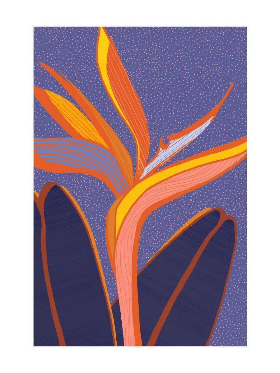 Kristian Gallagher Bright Tropical Flower