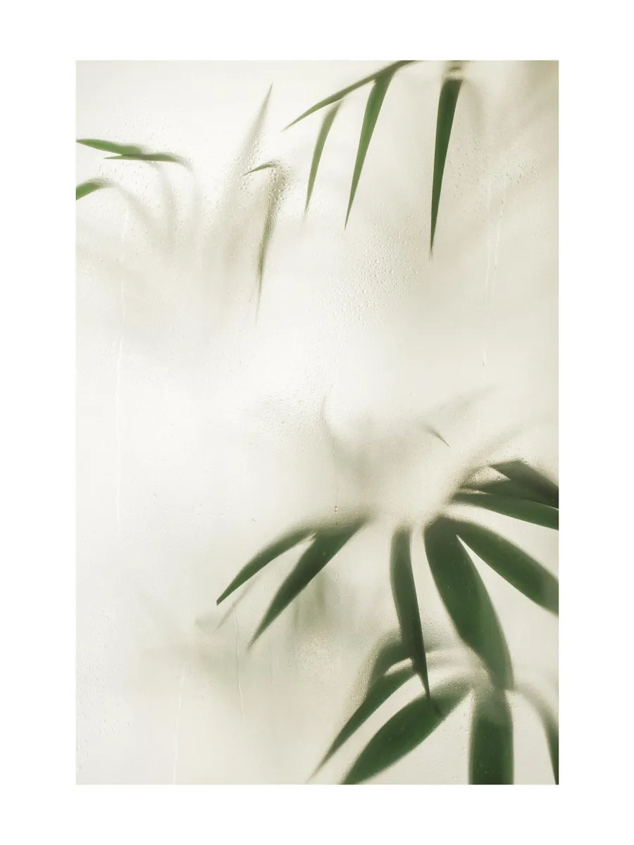Leaves in Disguise