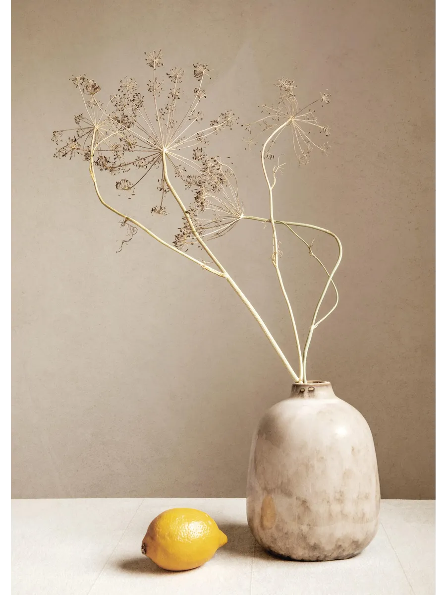 Lemon and Branches