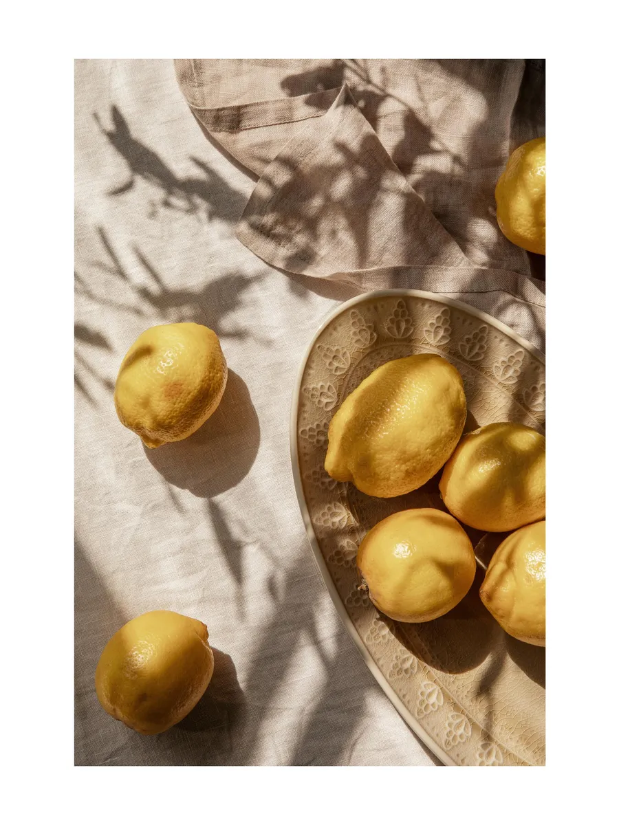Lemons in Sunlight