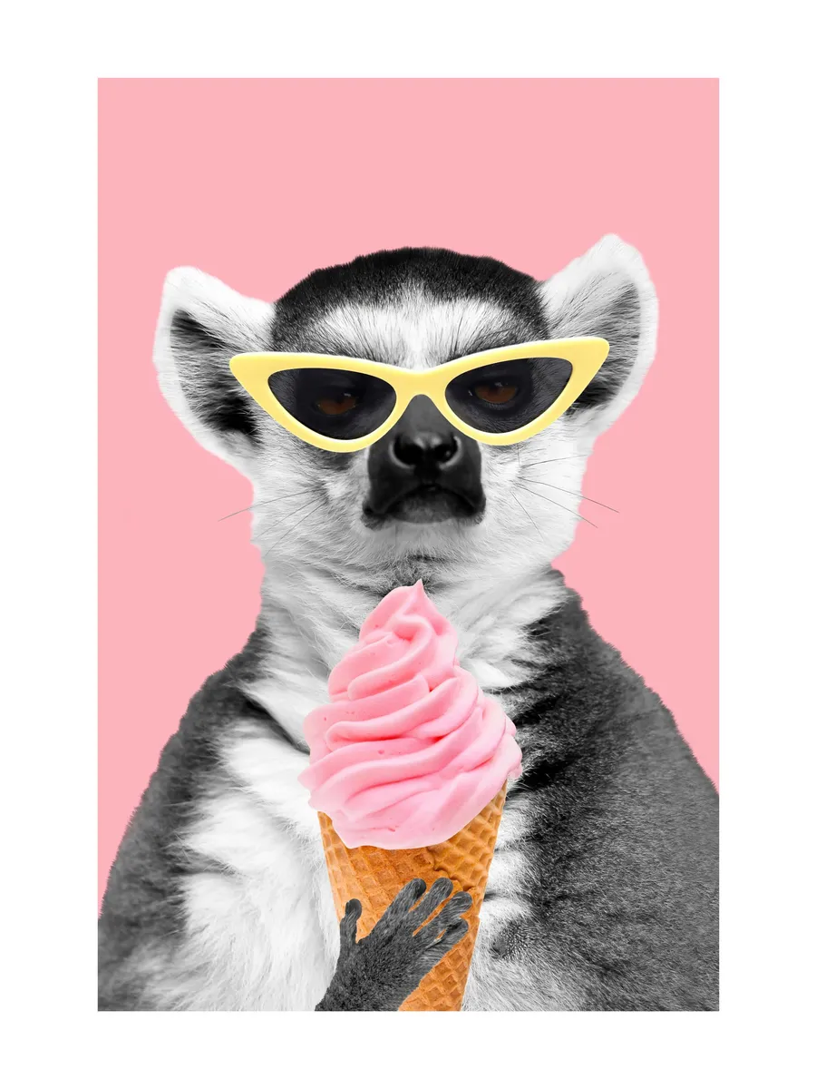 Lemur with Ice Cream