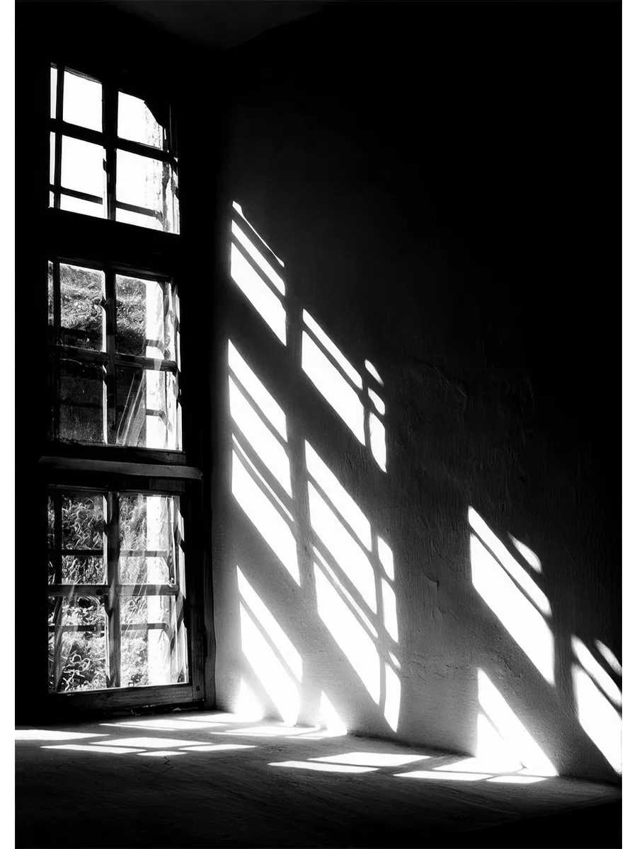 Let the Light in