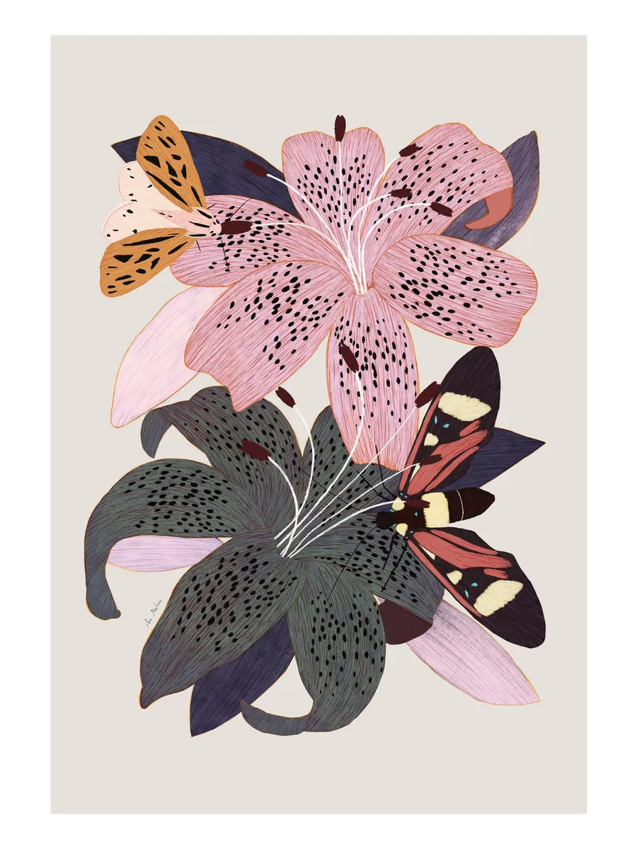 Lilies and Butterflies