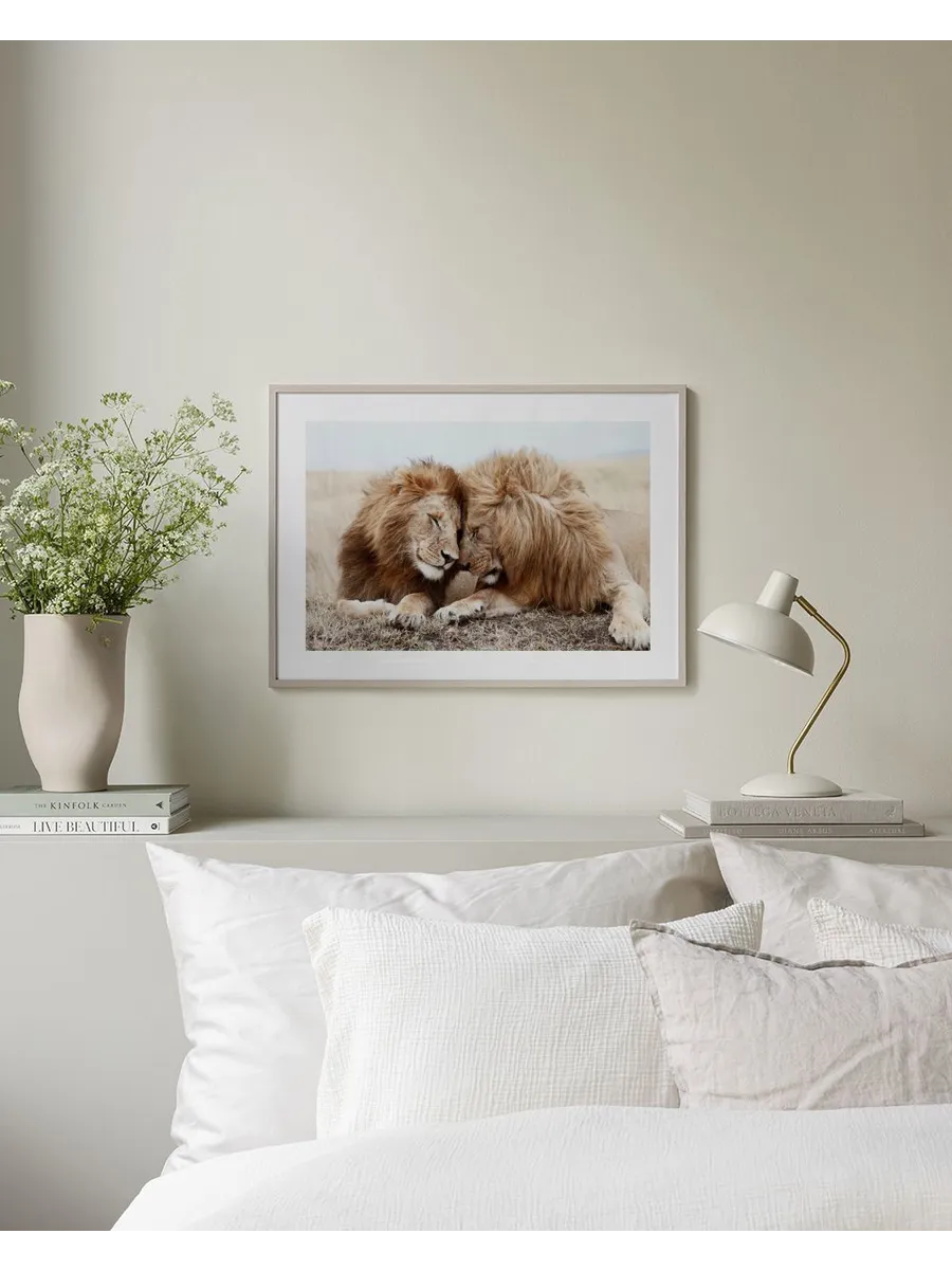 Lion Brothers