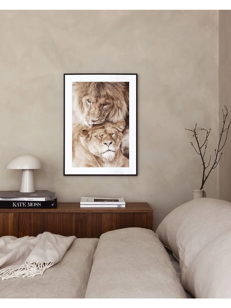 Lion Love