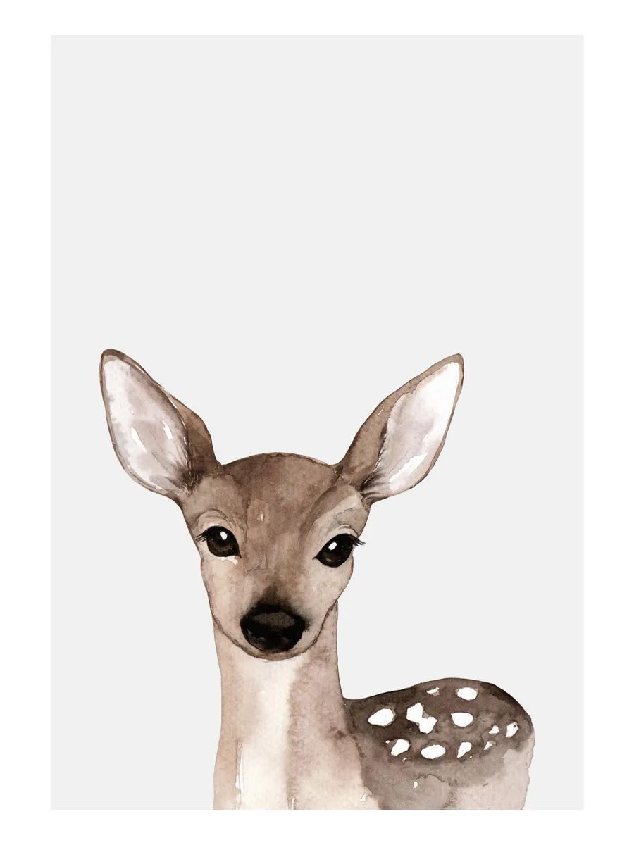 Little Deer 0