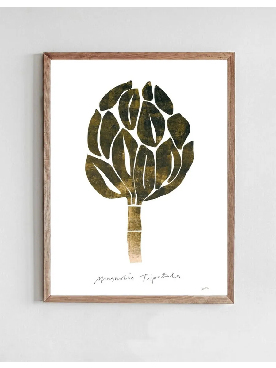 Magnolia