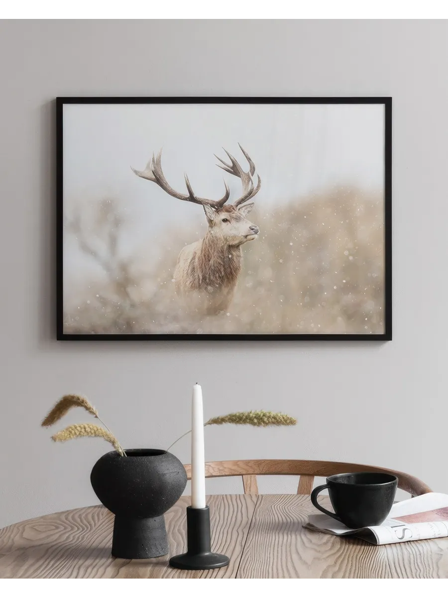 Majestic Reindeer