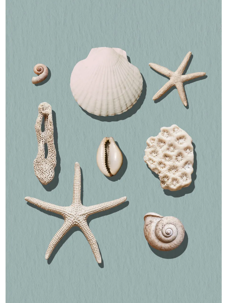 Marine Memories