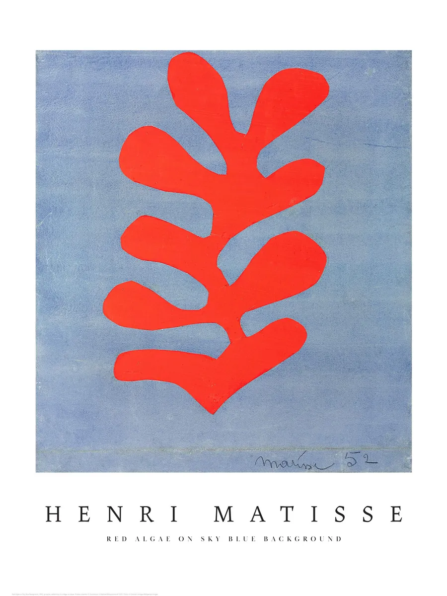 Matisse Red Algae on Sky Blue Background