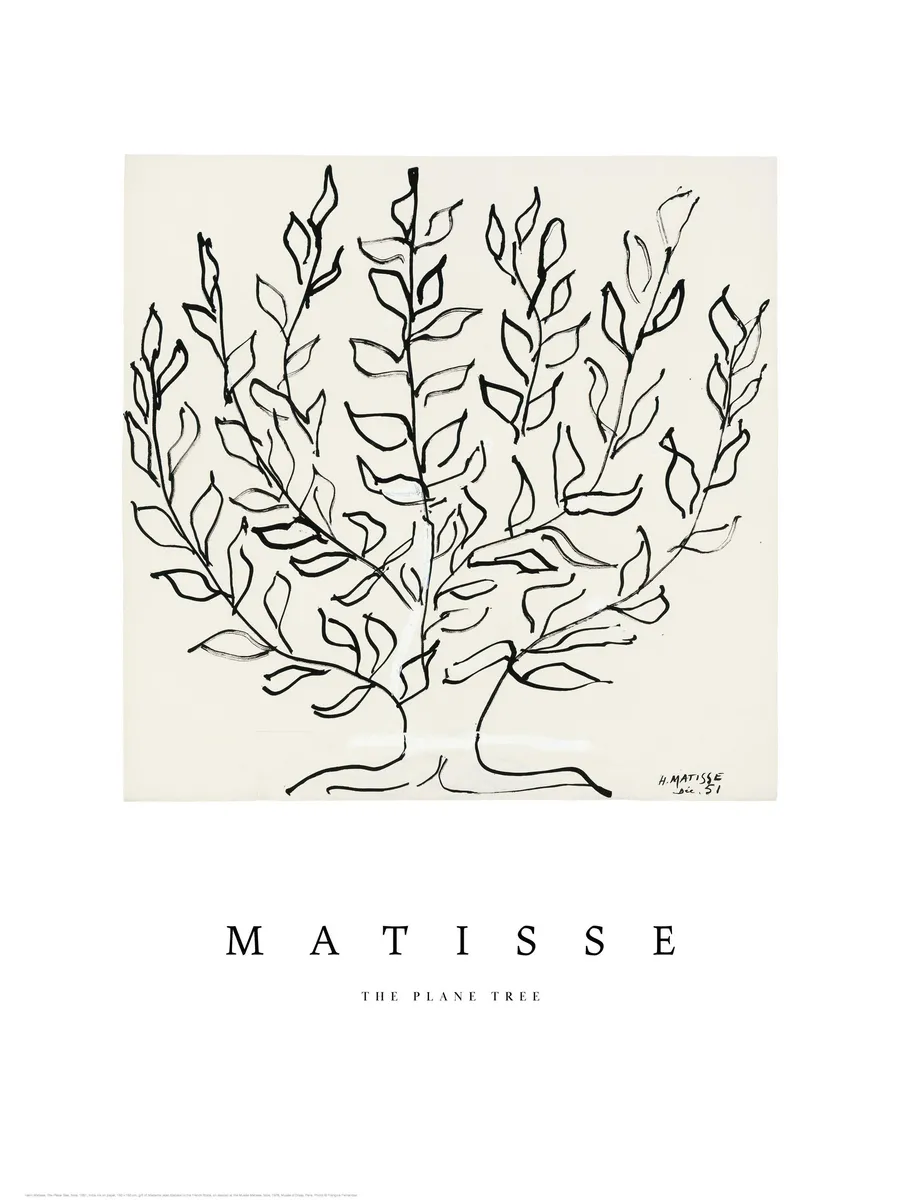 Matisse the Plane Tree