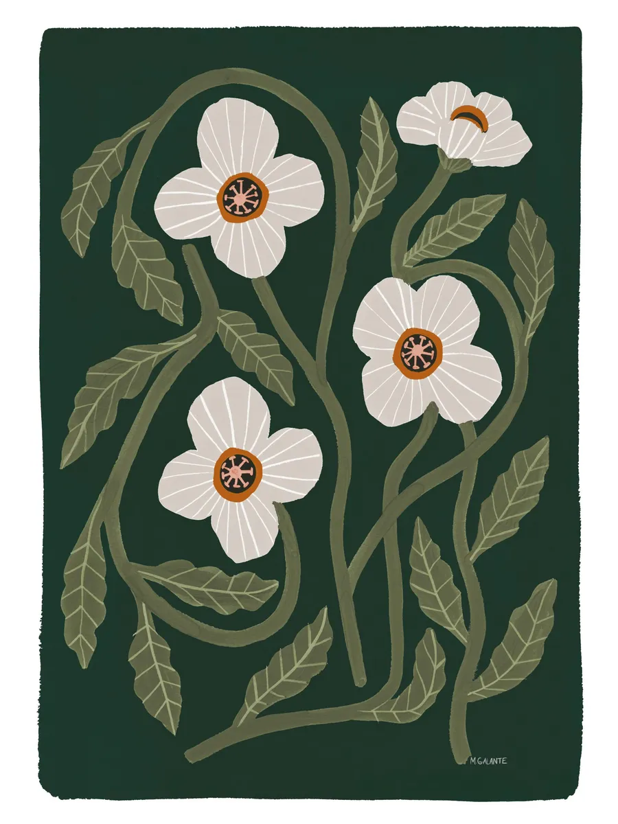 Megan Galante California Poppy