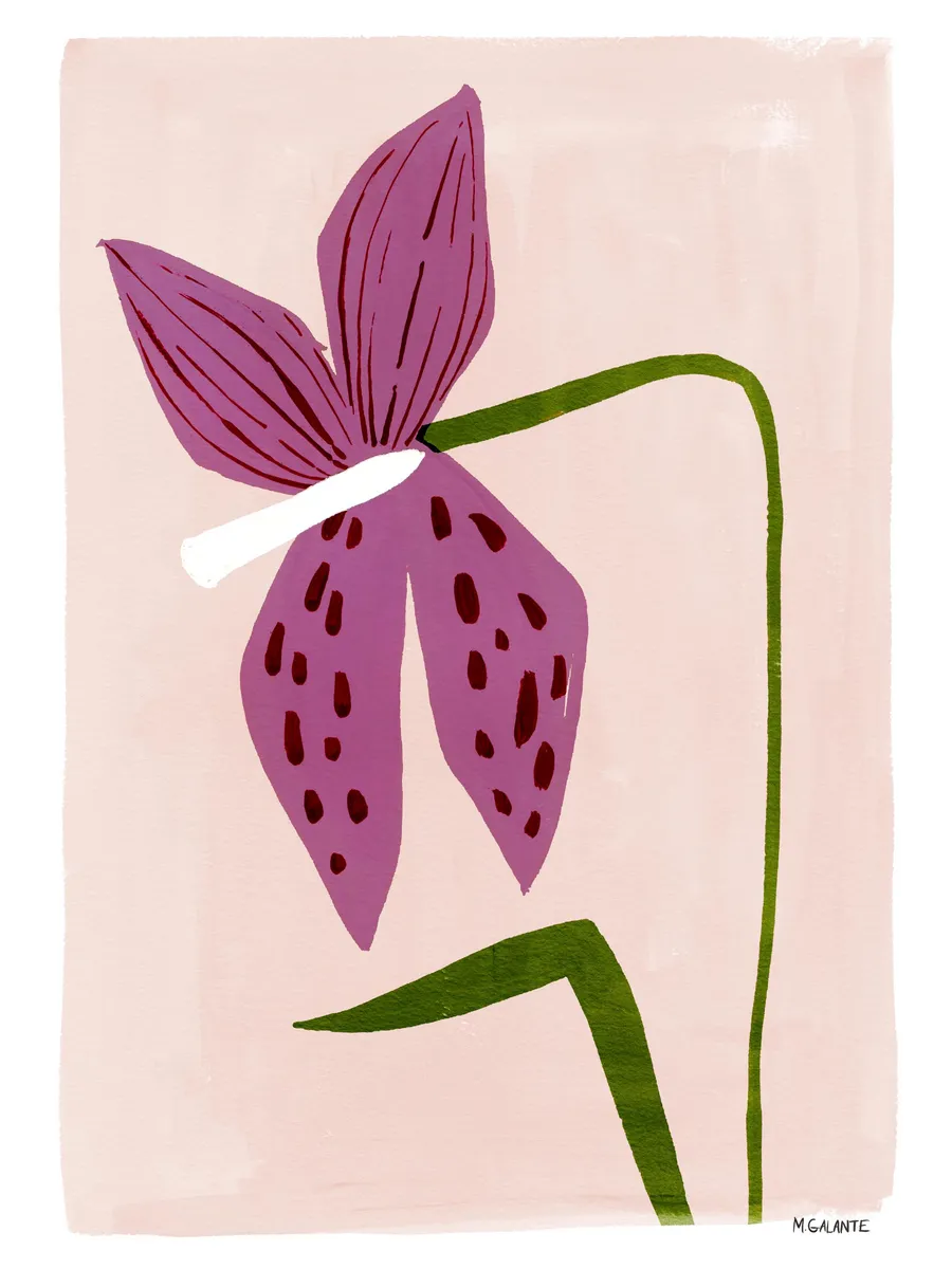 Megan Galante Lily Portrait