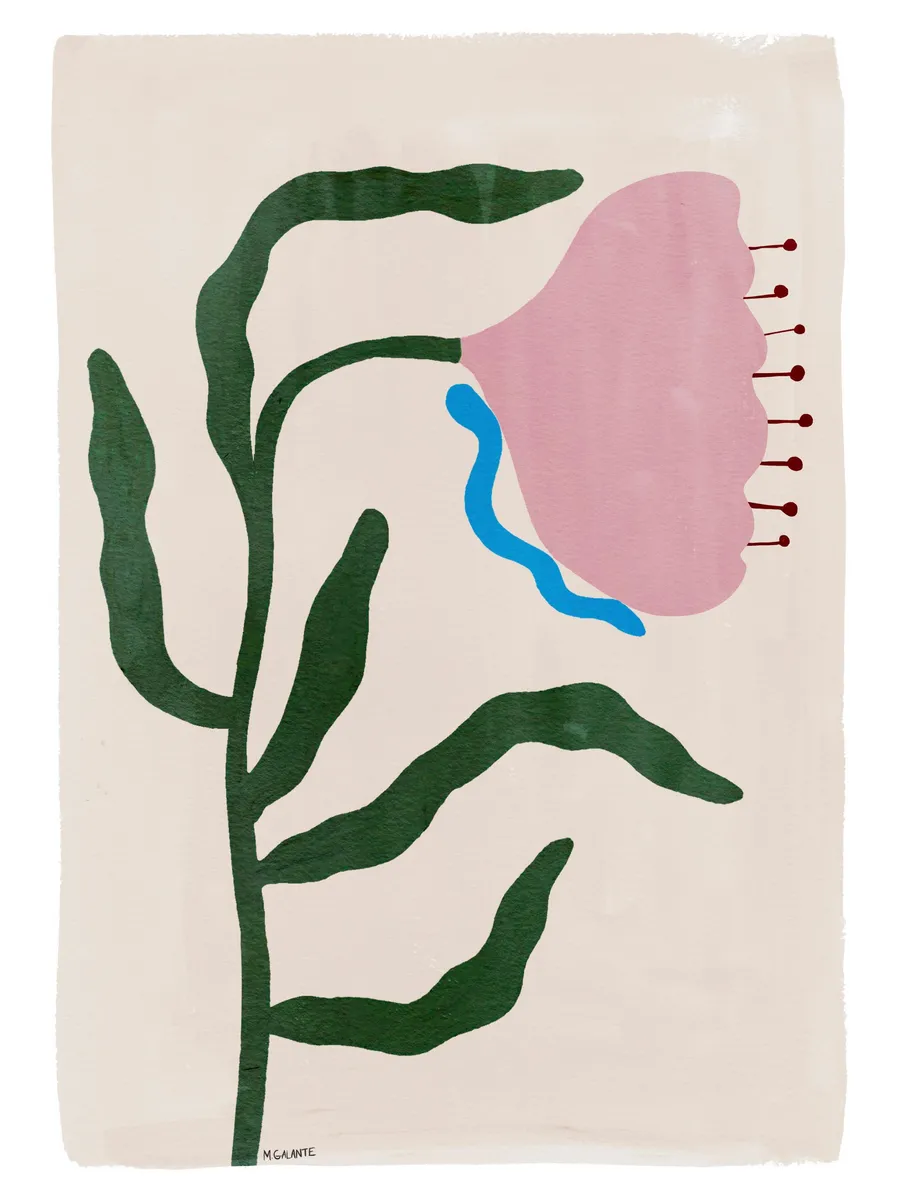 Megan Galante Morning Floral