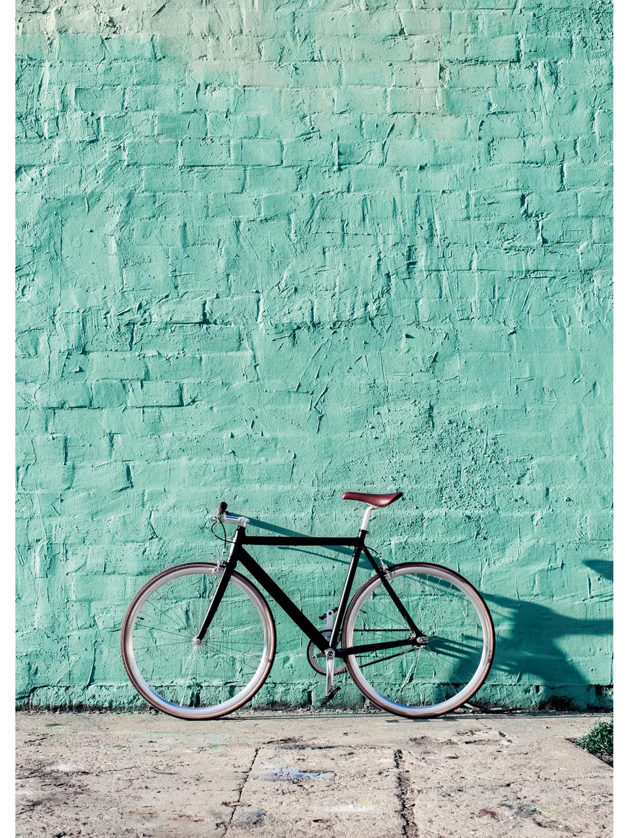 Mint Bike