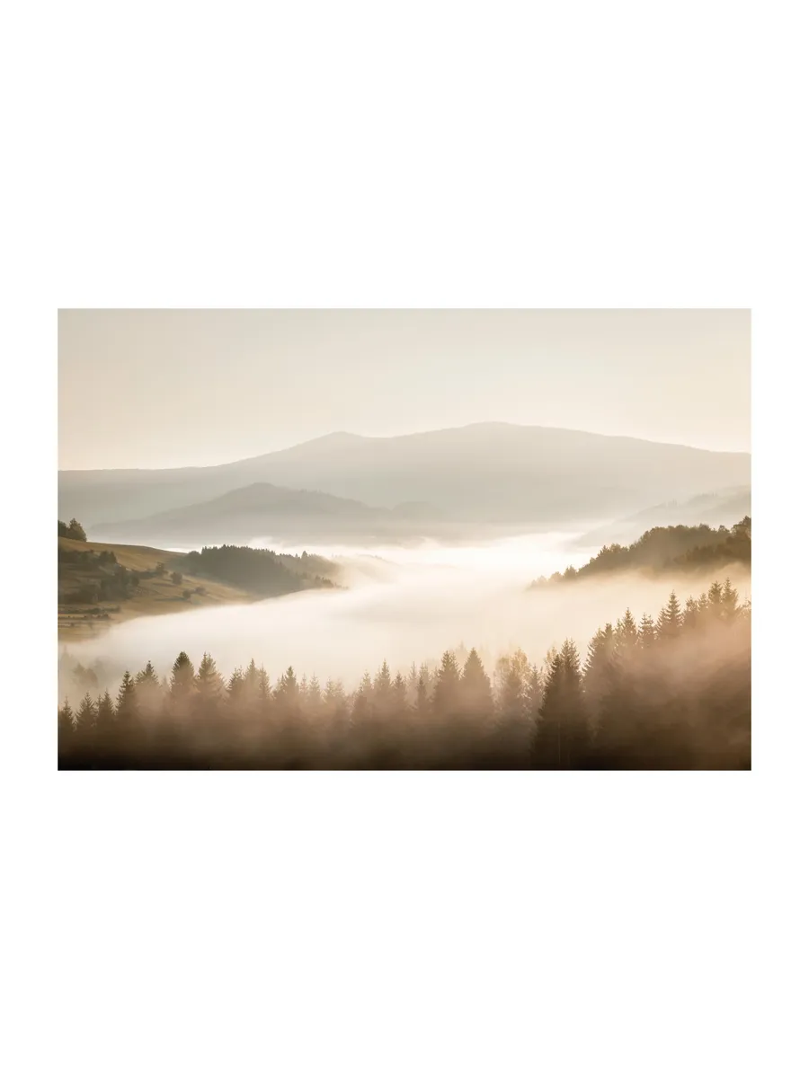 Misty Landscape