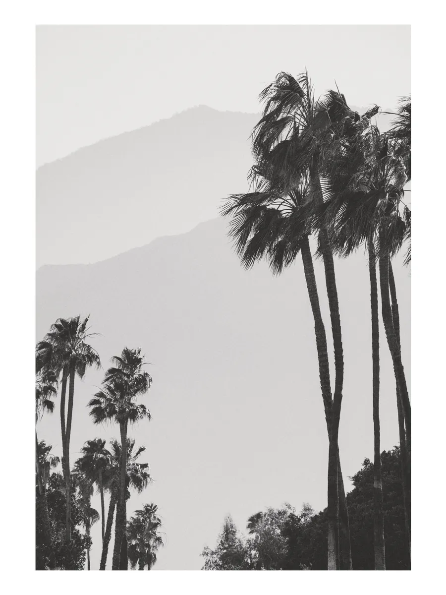 Misty Mountain View