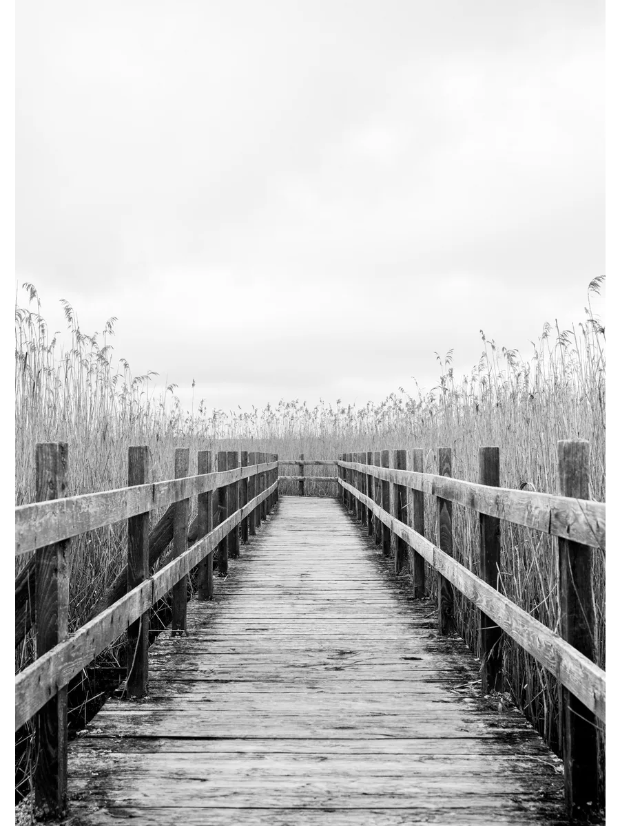 Monochrome Path